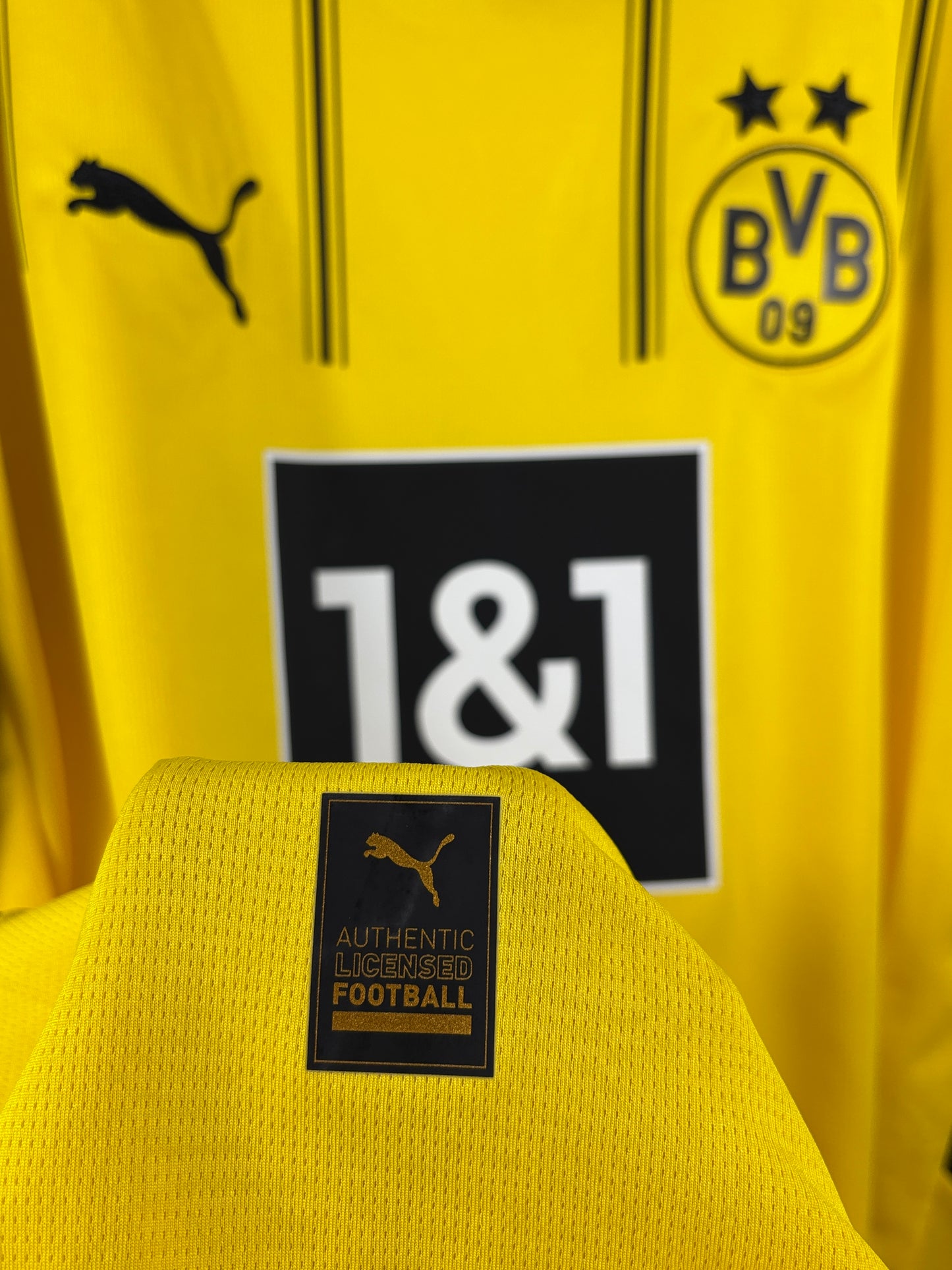 BVB Borussia Dortmund 2024/2025 Heimtrikot - XL - #10 Brandt (signiert & mit Original Rechnung + Etiketten)