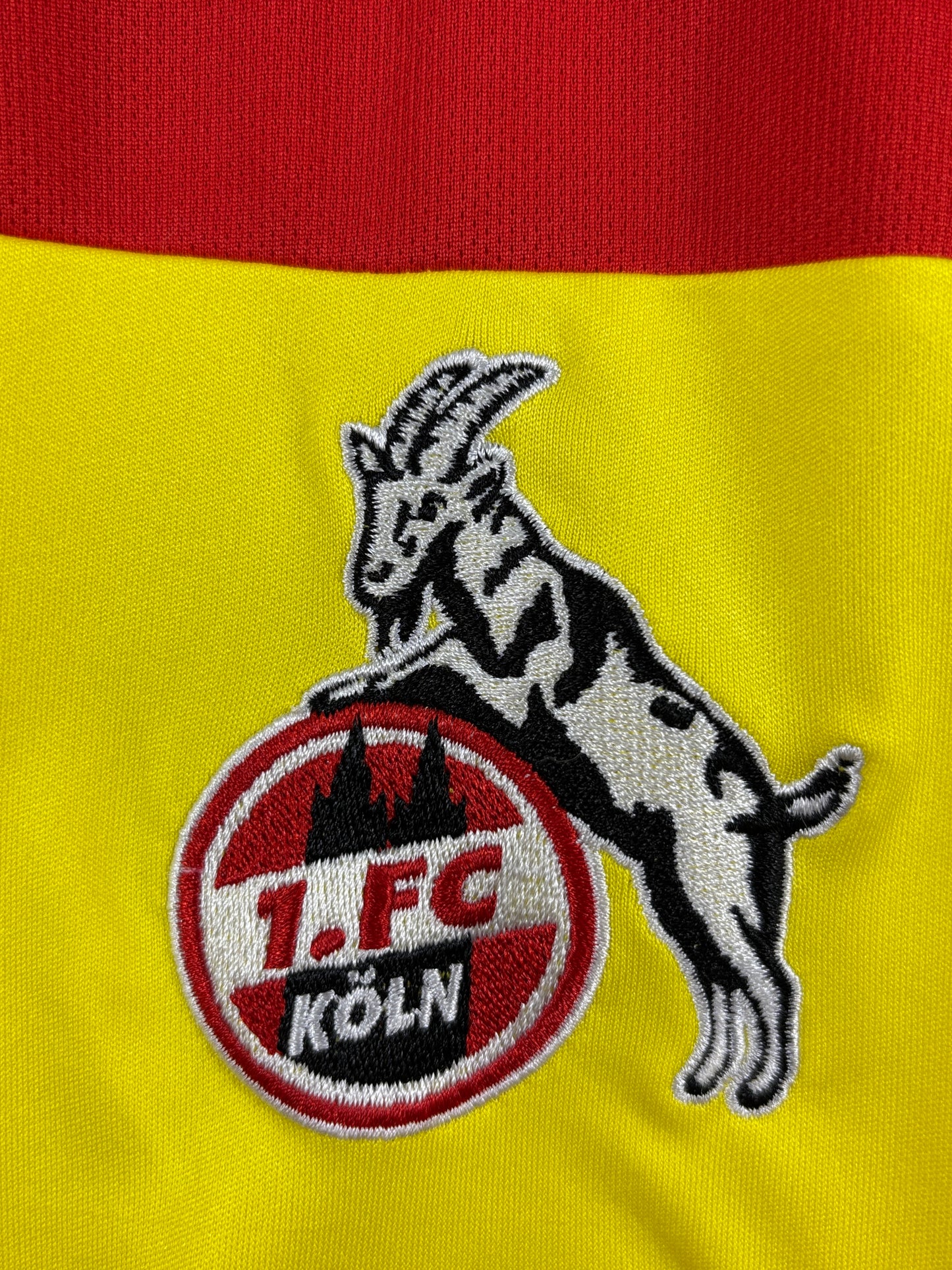 1. FC Köln 2020/2021 Ausweichtrikot Rewe – XL - #14 Hector
